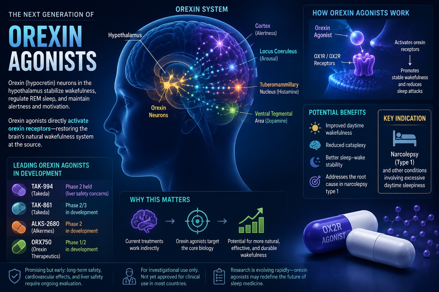 Orexin Agonists: The Next Generation of Eugeroics